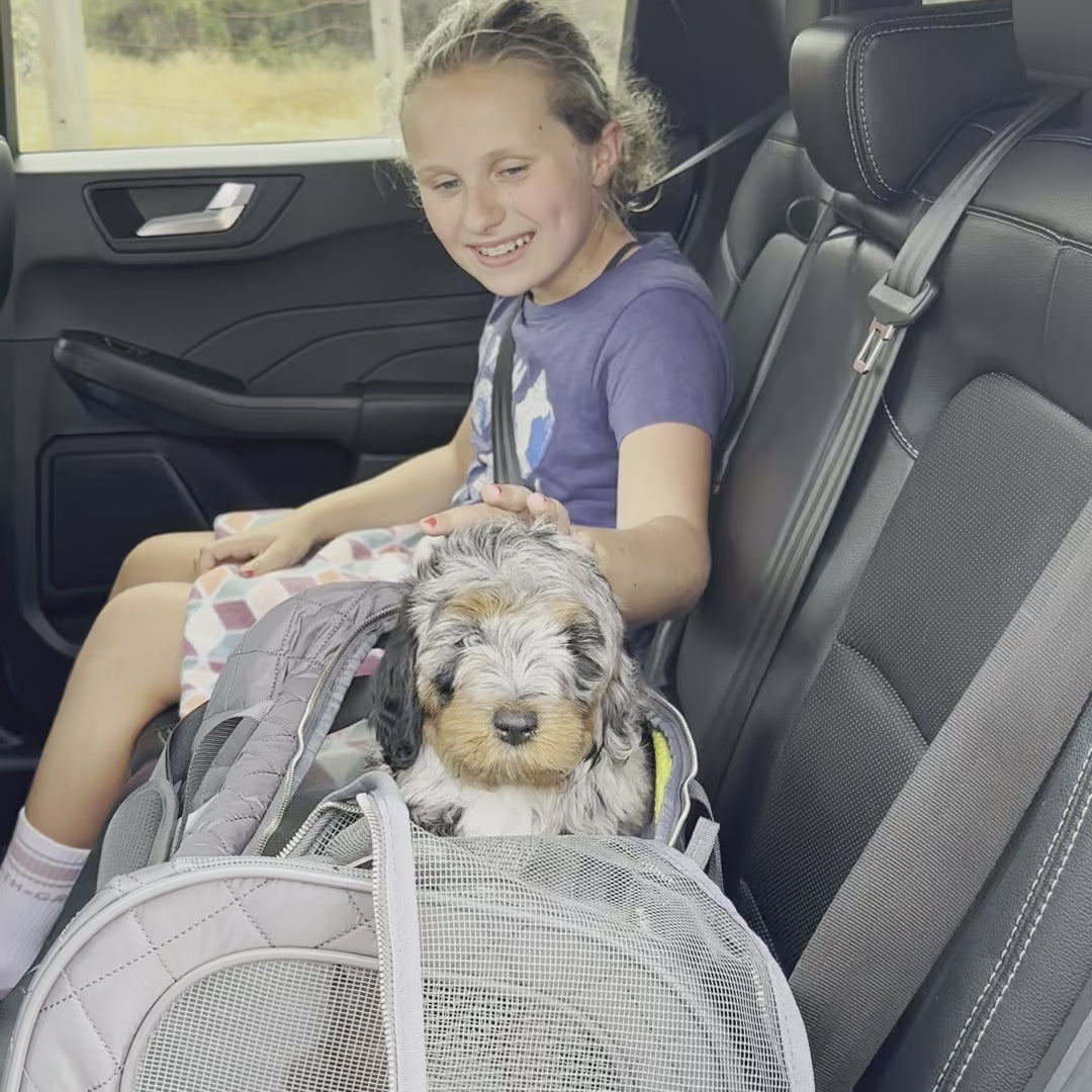 Gray Geo Soft Sided Pet Carrier