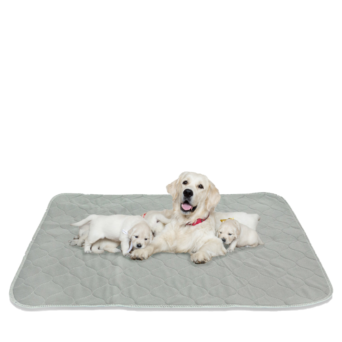 Dog Pee Pad Blanket Extra Absorbing Non-Slip Whelping Pads Dog Bed Urine Mat  Reusable and Washable for Pet Car Seat Cover