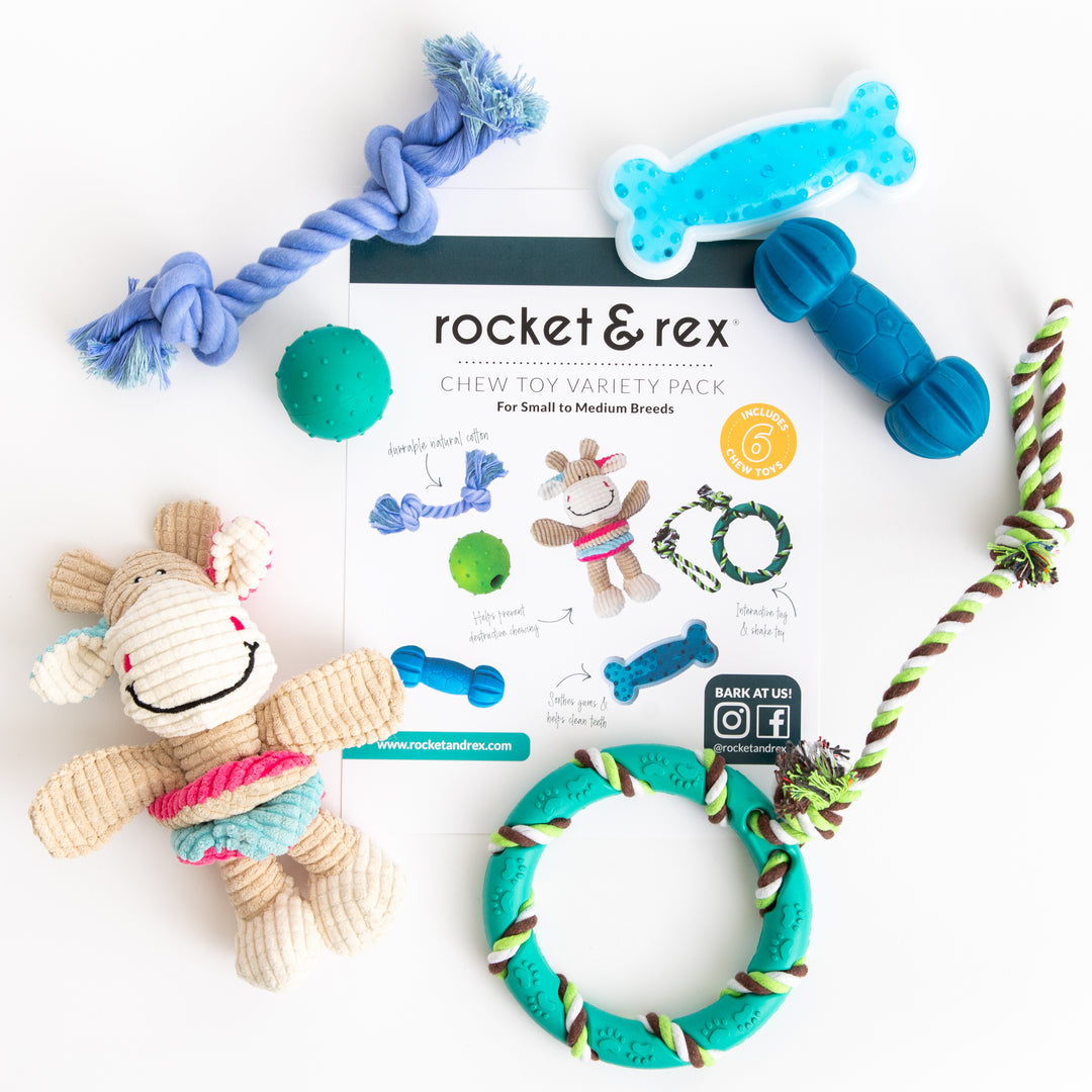 Dog Chew Toy Variety 6-Pack for Small and Medium Breeds – rocket & rex