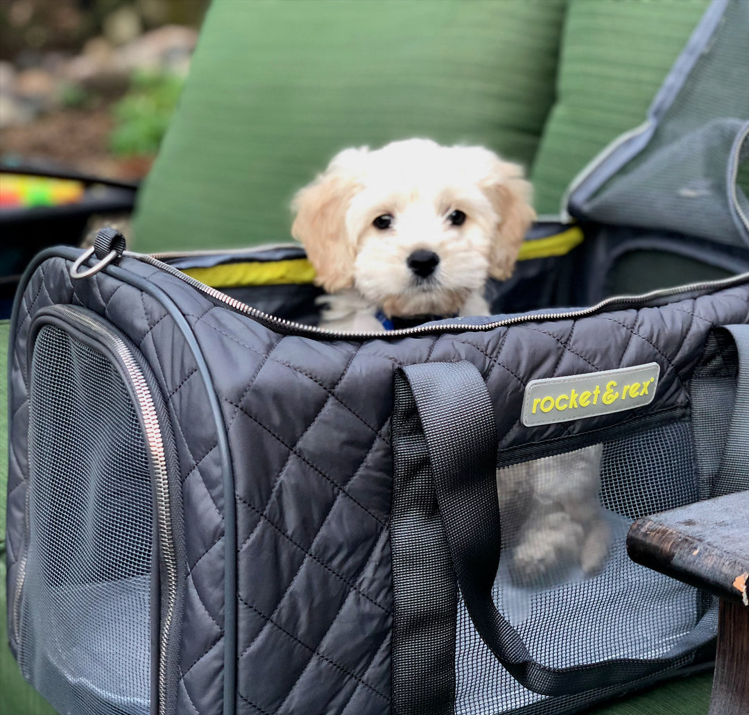 Soft-Sided, Airline-Approved Pet Carrier, Grey – rocket & rex